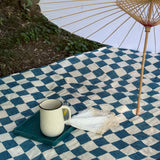 picnic or indoor/outdoor blanket BLACK FRIDAY SALE