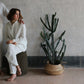 toogood x once milano pyjama