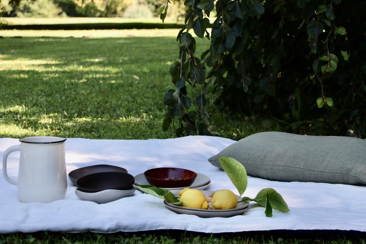 picnic or indoor/outdoor blanket